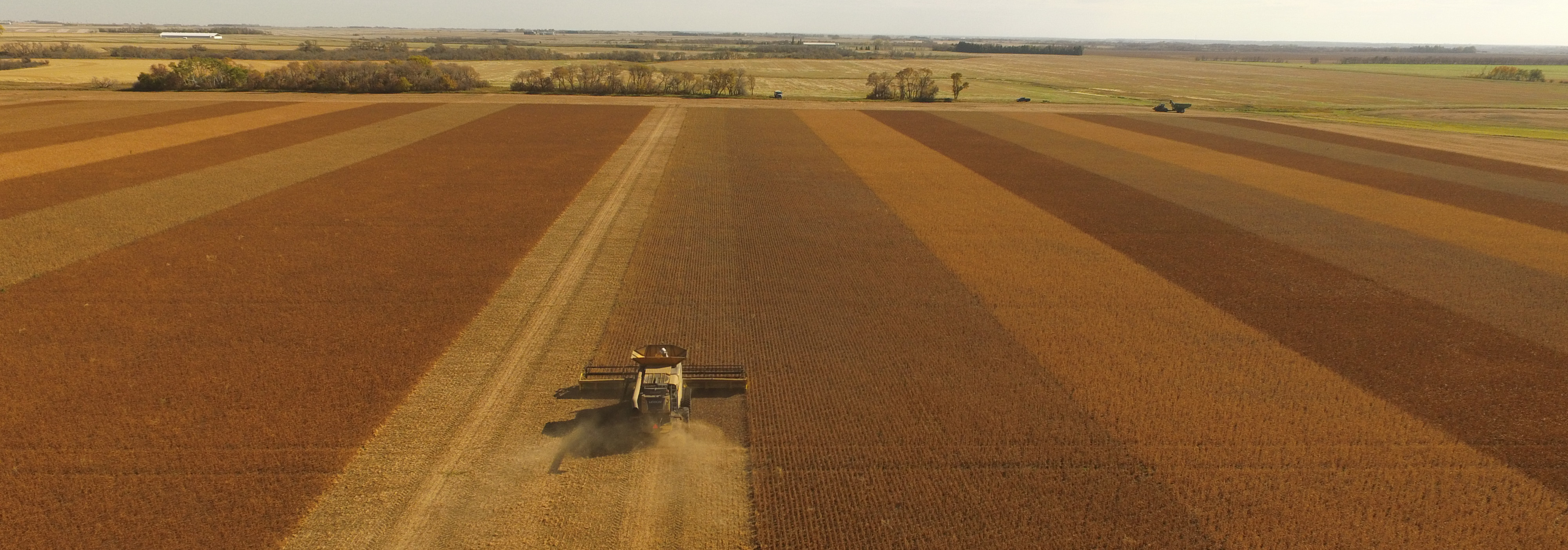 Rural Field